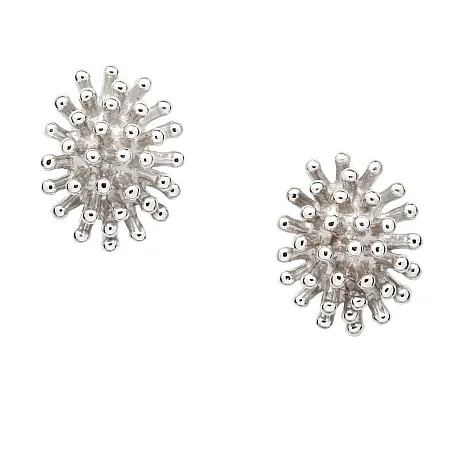 silverline, Ασημένια Γυναικεία Σκουλαρίκια