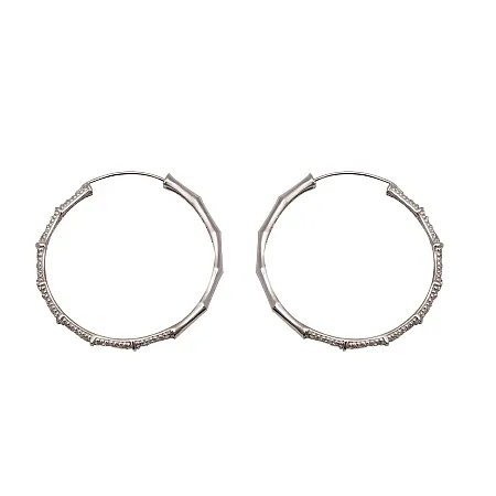 Ασημένια σκουλαρίκια κρίκοι με ζιργκόν